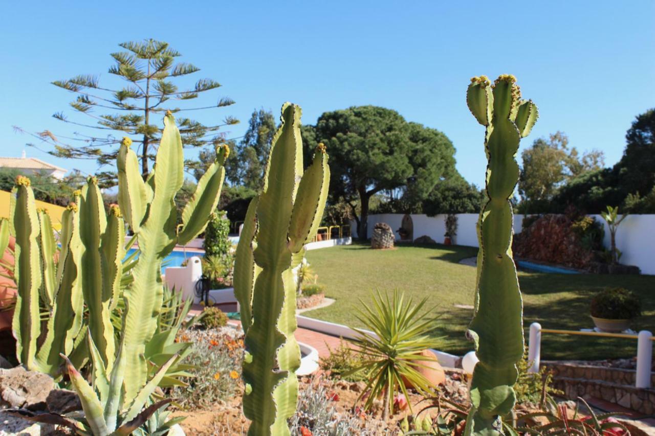 Casa Areias Boutique Apartments Albufeira Eksteriør billede