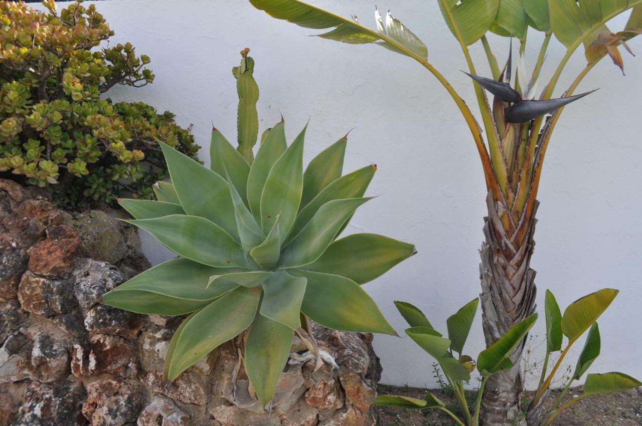 Casa Areias Boutique Apartments Albufeira Eksteriør billede